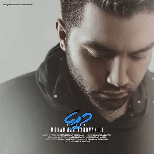 محمد زند وکیلی حال و روزمو ببین قبل از تو گریه هام شبیه رگبار نبود